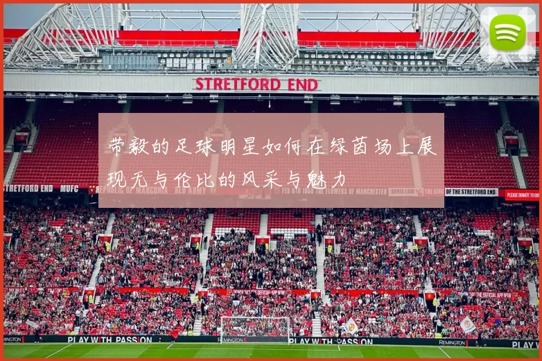 带毅的足球明星如何在绿茵场上展现无与伦比的风采与魅力