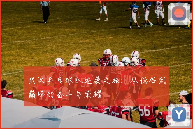 武汉乒乓球队逆袭之旅：从低谷到巅峰的奋斗与荣耀