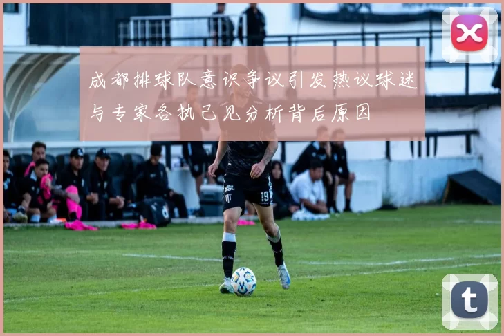成都排球队意识争议引发热议球迷与专家各执己见分析背后原因