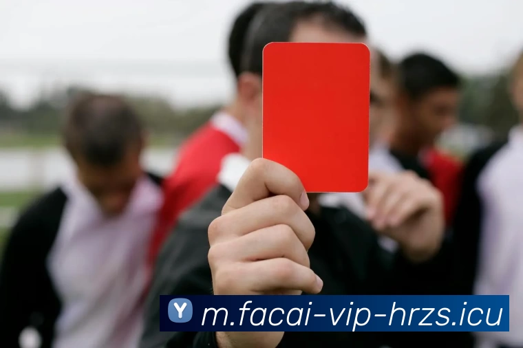 MK体育品牌故事