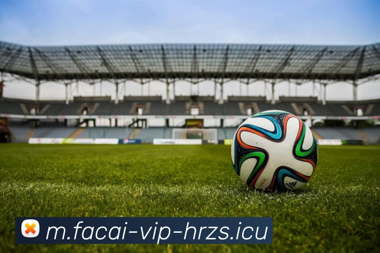 MK体育服务体系